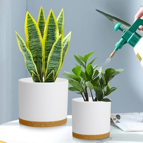 Large Plant Pots Set of 3 – 8", 9", 10" Indoor Flower Pots with Drainage Holes and Saucers, Big Planters for Monstera, Fiddle Leaf Fig, Snake Plant – 5 Colors - color: White With Brown Base