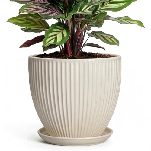 6 Inch Planter, Ceramic Pots for Plants Indoor, Decorative Plant Pots with Drainage Hole and Saucer, Round Flower Pot, Modern Small Planter, Office Decor, Gifts for Plant Lovers, Cream White - size: 6 Inch, style: Cream White