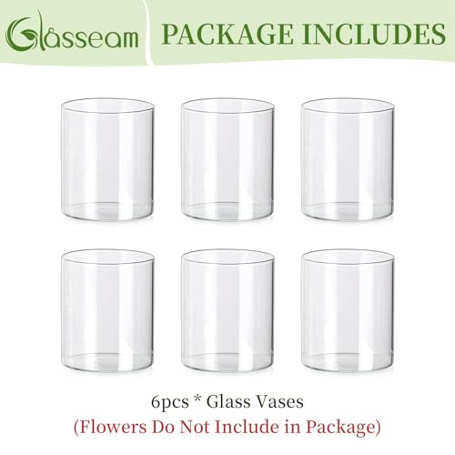 Glasseam Cylinder Vases for Centerpieces, 6Pcs Clear Glass Vase for Flowers | Hurricane Pillar, Floating Candle Holder, Modern, Small Home Decorations, Table Centerpieces, Wedding, Party, 4In - size: 4In