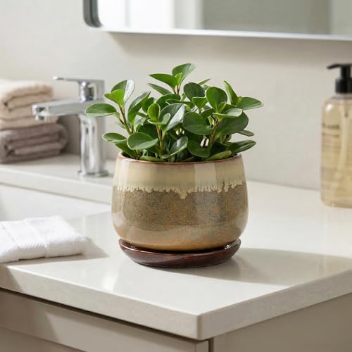 Ceramic Pots for Plants - 6 Inch Plant Pot Indoor with Drainage and Saucer, Round Planters for Succulent Snake Plants, Decorative Flower Pot, Home Decor, Plant Lover Gifts, Brown-Beige