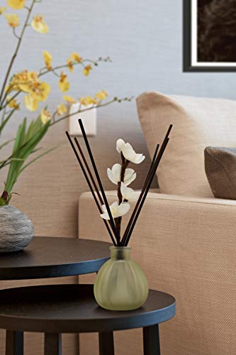10inch Diffuser Replacement Sticks - 20 Pcs Aroma Reed Fragrance Sticks Refill for Home and Bathroom - Rattan Essential Oil Sticks for Scented Diffuser - color: White-20pcs