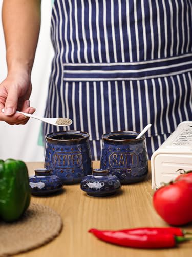 GDCZ 10 Oz Ceramic Salt and Pepper Bowls Set with Lid and Spoons (Blue) | Convenient Set of 2 for Kitchen, Includes Lids & Matching Spoons, 10oz Capacity, Embossed Texture - color: Blue