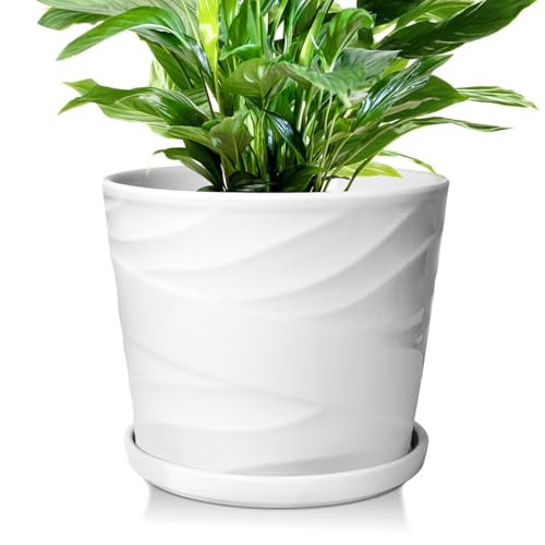 8 Inch Plant Pot,Ceramic Planter with Drainage and Saucer,Ceramic Pots for Plants,Indoor Plant pots,Ceramic Flower pots(White) - color: Pure White, size: 8 Inch-1 Pack