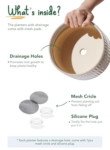 LE TAUCI Succulent Pots, 6.5+8 Inch Ceramic Indoor Plant Pot with Drainage Hole, Shallow Round Succulent Planters, Set of 2, Reactive Glaze Star White - color: Reactive Glaze Star White