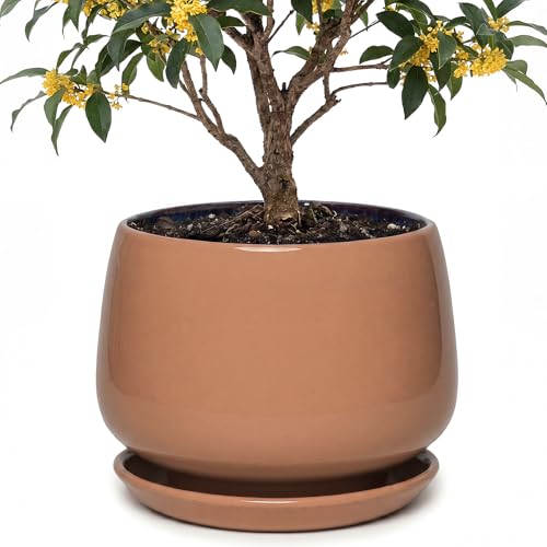 10.3 Inch Ceramic Planter with Saucer,Modern Garden Pots with Drainage Hole Mesh Net, for Indoor Outdoor Use (Reddish Brown) - color: Reddish Brown, size: 10.3 Inch