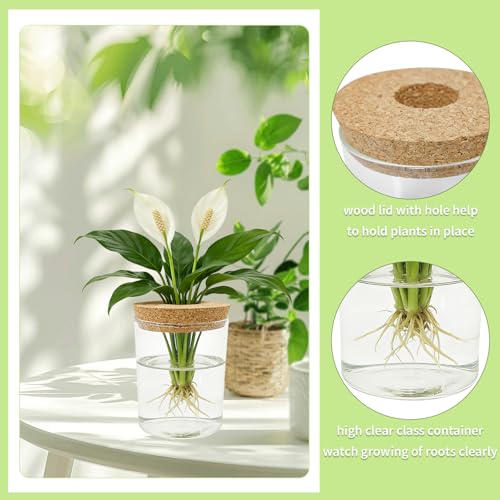 4 Pack Glass Plant Propagation Station,Desktop Vases for Home Office Decor | for Herb & Plant Cuttings, Fits Living Room Bedroom Office, Ideal Plant Lover Gift, Decorative Glass Planter Jars