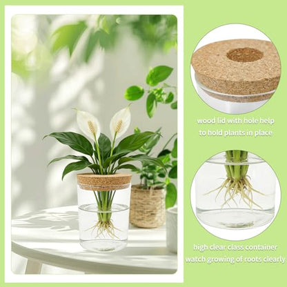 4 Pack Glass Plant Propagation Station,Desktop Vases for Home Office Decor | for Herb & Plant Cuttings, Fits Living Room Bedroom Office, Ideal Plant Lover Gift, Decorative Glass Planter Jars