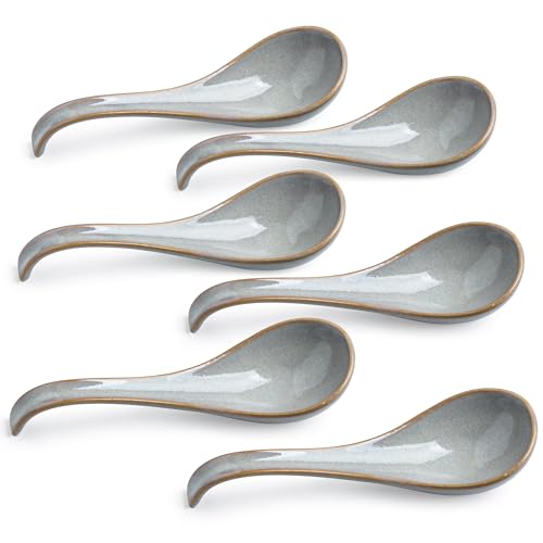 LYEOBOH Ceramic Asian Soup Spoons Set of 6, Ramen Spoons with Long Handle | Japanese Ramen Spoons with Deep Hook Design for Miso Rice, Chinese Soup Spoons for Kitchen, Dishwasher Microwave Safe, Gray - color: Gray