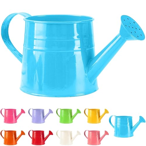 Tinplate Watering Kettle 1L, Mini Metal Watering Can with Long Spout and Handle, Vintage Flower Sprinkling Can for Indoor Plants, Patio and Garden Use (Blue-B08) - color: Blue-b08