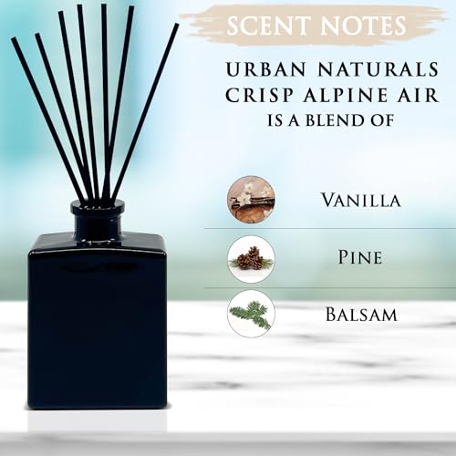 Reed Diffuser Set, Crisp Alpine Air - Bathroom Shelf Décor | Eucalyptus, Citrus, Vanilla, Pine & Balsam Notes, 5 ounce Sleek Black Rectangular Refillable Glass Bottle, Made in the USA - color: Crisp Alpine Air