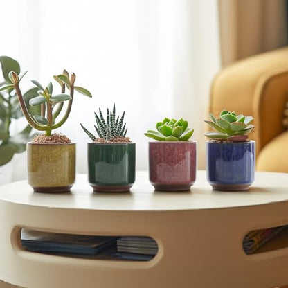 T4U 2.5 Inch Small Ceramic Succulent Planter Pot with Drainage Hole Set of 6, Ice Crack Glaze Plant Container for Cactus, Succulent Plant Gifts for Women Mom Aunt Home Office Decor | Deep root containers, for small cactus plants, bonsai tree starter pots,