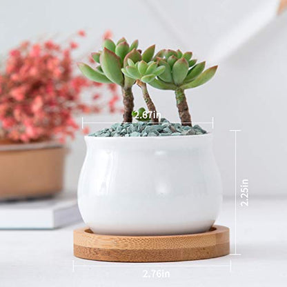 Succluent Pots ，Small Flower Pots Planter Pots with Drinage,Ceramic Flowers Pots with Bamboo Tray for Cactus(12 Pack | Ceramic Flowers Pots with Bamboo Tray for Cactus,Planter Pots for Home,Kitchen