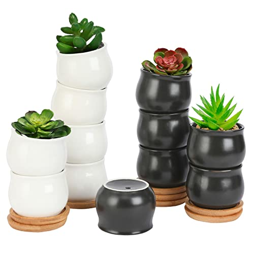 SHECIPIN 12 Pack Succulent Plant Pot, Mini 2.6 inch Ceramic Flower Planter Pot with Bamboo Tray, Small Pots for Plants, Plants Not Included （White, Black） - color: Black,white
