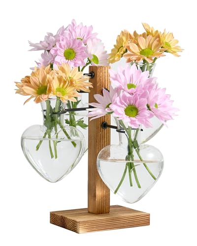 Plant Propagation Stations with Wood Stand, 4 Vases Love Shape | Glass Propagation Vases For Hydroponic, Plant Terrarium For Home Office Garden Decor, Gardening Gifts For Plant Lovers - color: Love