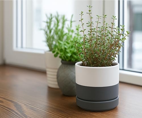 D'vine Dev 4-Pack Ceramic Pots with Saucers, White/Grey, 4.7 in, 94-X-B-6 | Glazed Ceramic, Drainage Hole and Saucer, Sleek Cylinder Shape, High Temperature Fired, Ideal for Small Houseplants - color: White/Speckled Grey, size: 4.7 Inch