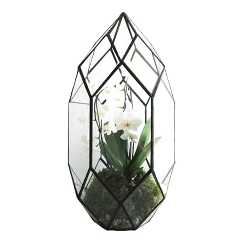 Ferris Island Handmade Glass Home Geometric Glass Succulent Flowerpot | Ideal for succulents, air plants, moss, mini ferns, and DIY terrarium arrangements with natural decorative accents. - size: 5.9"L x 11"W x 6.5"H