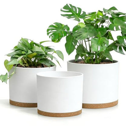 Large Plant Pots Set of 3 – 8", 9", 10" Indoor Flower Pots with Drainage Holes and Saucers, Big Planters for Monstera, Fiddle Leaf Fig, Snake Plant – 5 Colors - color: White With Brown Base