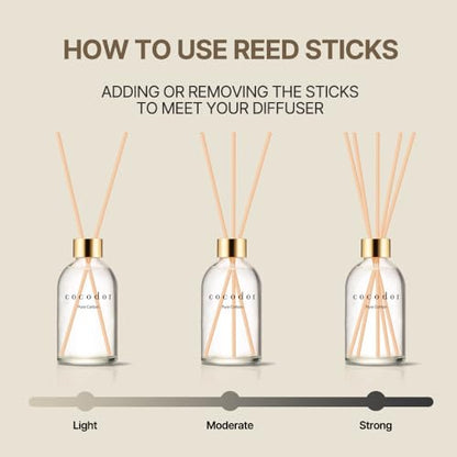 COCODOR Herbarium Reed Diffuser/April Breeze/6.7oz(200ml)/ Fragrance Scent Essential Oil Stick Diffuser Set for Bedroom Bathroom Home Décor - size: Herbarium/6.7Ounce/1Pack