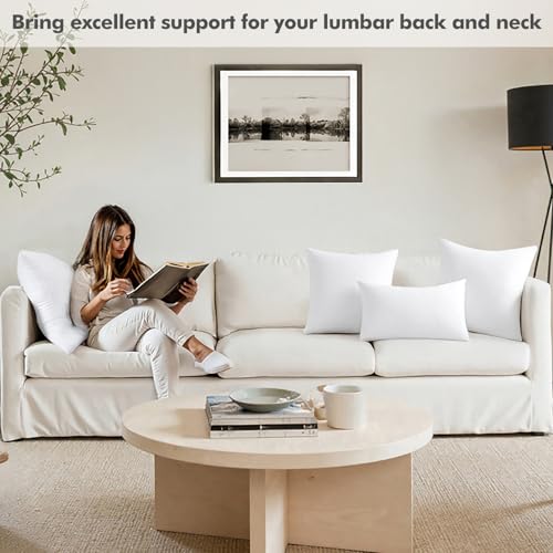 MIULEE 20x20 Pillow Insert, Premium Throw Pillow with Virgin Fiber Filling | Soft and Support, Durable Brushed Fabric, Decorative Pillow for Sofa Bed Couch - size: 20x20 Inch (Pack of 1)