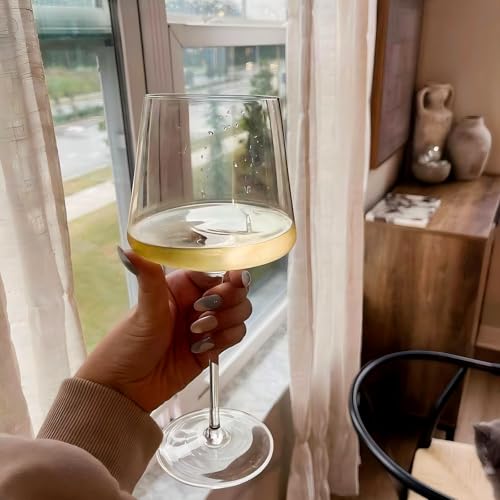 Physkoa Wine Glasses Set 6-18oz-LeadFree Wine Glass with Long Stem,Clear Stemmed Wine Glasses【HandBlown Glassware】 Crystal Wine Gifts for Women Birthday Wedding - style: 6 Count