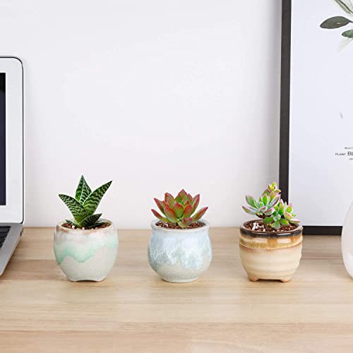 T4U Small Ceramic Succulent Pots with Drainage Set of 6, Mini for Plants, Tiny Porcelain Planter, Air Plant Flower Cactus Faux Plants Containers, Modern Decor Home and Office
