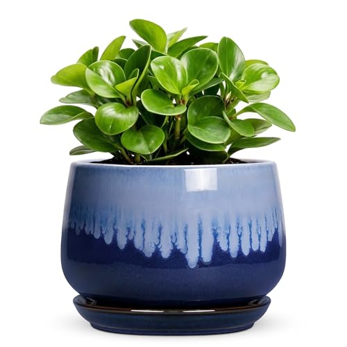 Ceramic Flower Pots, 6 Inch Plant Pot Indoor with Saucer, Deep Blue | Ceramic Planters for Indoor Plants, Round Decorative Pots for Plants with Drainage, Office Garden Decor, Graduation Gifts - size: 6 Inch, style: Deep Blue