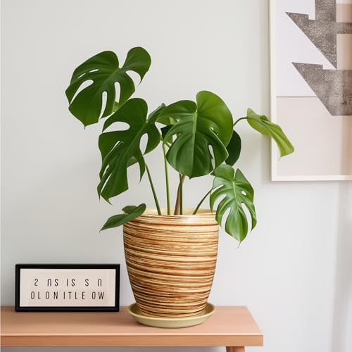 8 Inch Plant Pot, Ceramic Planter with Drainage Hole and Saucer Large Flower Pot for Home Patio Garden Office, Yellow - color: Glossy Yellow-coil, size: 8 Inch