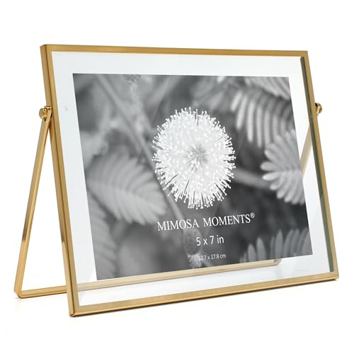 5x7 Brass Metal Floating Horizontal Picture Frame | Horizontal Double Glass Tabletop Display, Modern Minimalist Photo Frame for Home & Office Decor - color: Brass, size: 7x5