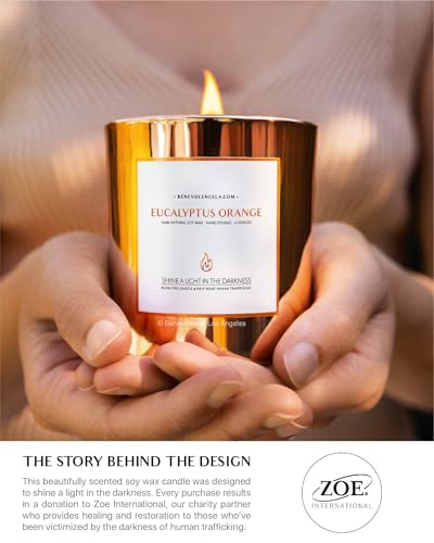 Benevolence LA Premium Eucalyptus Orange Scented Candle – Long-Lasting, 45-Hour Burn – Luxury Natural Soy Wood Wick Candle for Home – Aromatherapy & Room Decor – 8oz - size: 8 oz - 1 wick