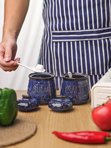 GDCZ 10 Oz Ceramic Salt and Sugar Bowls Set with Lid and Spoons (Blue) | Convenient Set of 2 for Kitchen, Includes Lids & Matching Spoons, 10oz Capacity, Embossed Pots - color: Blue