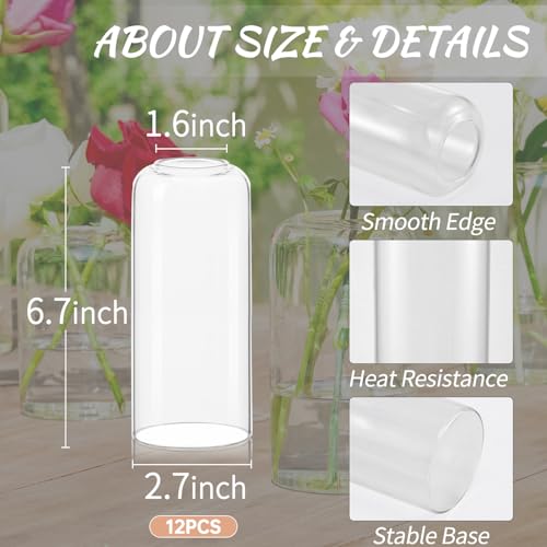 12pcs Glass Bud Vases - 6.7 Inch Tall Clear Flower Vases for Centerpieces, Glass Vase Modern Bud Vase for Wedding Party Dining Table Centerpieces, Living Room Decorative, Home Decor - size: 12 Pcs 6.7 Inch