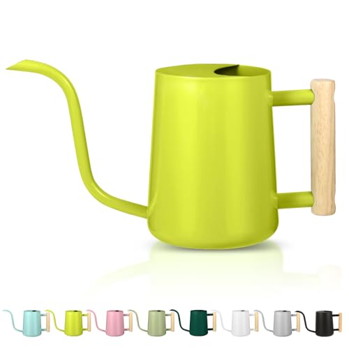 Watering Can Indoor Plants, 35oz Small Stainless Steel Metal Watering Can Modern Decorative Watering Pot with Long Spout for Indoor House Plant Bonsai Garden Flowers (Bright Green) - color: Bright Green