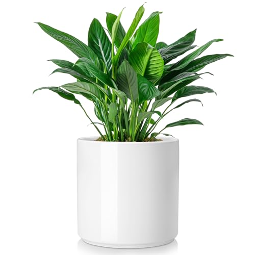 vancasso 8 Inch Ceramic Pot for Plants, Round Outdoor Indoor Planter Pots with Drainage Holes, White - color: White, size: 8 Inch