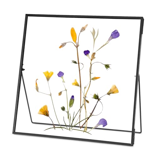 REDHUGO Double Glass Frame for Pressed Flowers, Square, Black, 10x10 Inches | Handmade, Tabletop Photo Frame for Floating Picture and Flower Press, Simple, Metal Geometric - color: Black, size: 10L" x 10W"