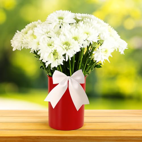 Calypso Basics by Reston Lloyd Plastic Utensil Holder, Red - color: Red, size: Utensil Holder