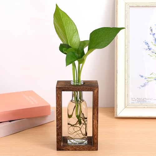 1set Rustic Wooden Desktop Planter Box with Transparent Glass Bottle for Easy Indoor Plant Propagation Versatile Hydroponic Display Suitable for Tabletop Decor and Desk Gardening