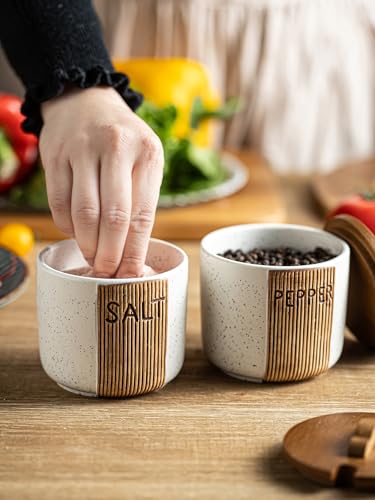 Salt and Pepper Bowls Ceramic, 10 OZ Salt and Pepper Container | Salt and Pepper Cellar wiht Lid & Spoon, Salt Containers for Countertop, Easy Access, Rustic Woodgrain Embossed Design, White - color: White, size: Set of 2