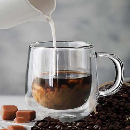 Large Double Walled Glass Coffee Mugs Beer Cups 24oz set of 2, Insulated Clear Borosilicate Glass Tea Lemonade Cups with Handle - color: 24OZ-SET OF 2