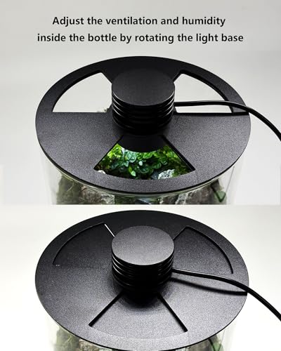 Desktop Glass Terrarium with Grow Light (9.8" H x 5.9" D) - for Succulents, Moss, Mini Gardens, Betta Fish Tanks, Mushroom Cultivation | Indoor Plant Growth | Office/Home Decor | Plant Lover Gifts - size: 9.8”
