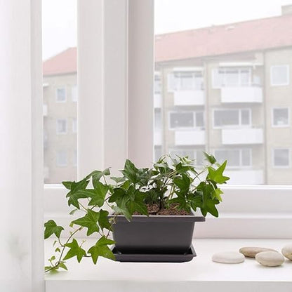 15 PCS 8.8 Inch Bonsai Training Pots, Bonsai Tree Growing Pots with 15 Drainage Trays, Plastic Bonsai Planter for Garden, Yard, Office, Porch, Balcony, Home Decoration - size: 8.8 Inch