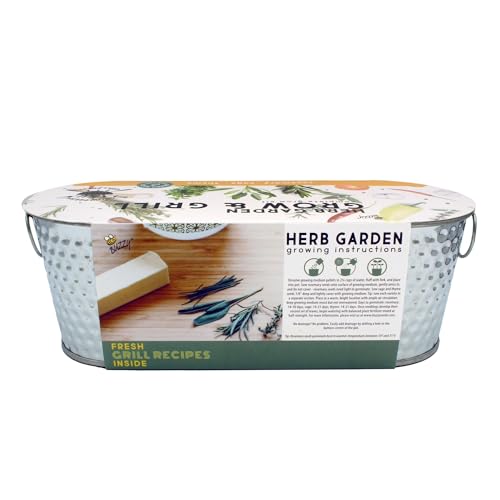 Buzzy Seeds Grow & Grill Organic Herb Kit - Metal Windowsill Planter - Complete Indoor/Outdoor Gardening Kit with Seeds, Coconut Husk Growing Medium & Genuine Pots - 100% Grow Guarantee - color: Silver