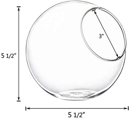 Mkono Plant Terrarium Display Glass Tabletop Succulent Air Plant Planter Globe Microlandschaft House, M | Succulent Holder, Oblique Mouth Opening, DIY Airplant Display, Multi-Purpose, Home Balcony Office Decor, Plant Lover Gift