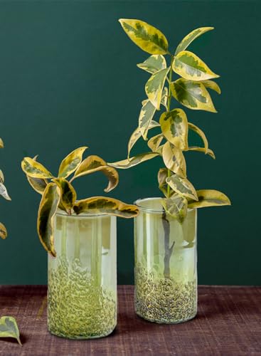 Serene Spaces Living 6" Speckled Green Glass Bud Vases, Tall & Slender Floral Vase, Perfect for Floral Arrangements at Home, Office, Wedding Tablescapes, Celebratory Events, Set of 4 - size: Small - Set of 4