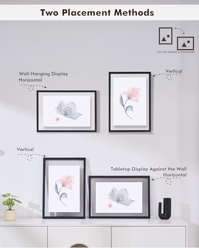 DLQuarts 18x24 Floating Picture Frame for 16x20/13x19/12x18/11x14 Photos, 2-Pack Solid Wood Double Plexiglass Wall Art Frames, Any Size Photo up to 18x24 Display, Black - color: Charcoal Black, size: 18x24