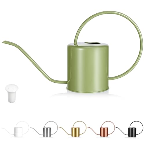 Plant Watering Can, 50 oz / 1500 ml Stainless Steel Metal - Modern Decorative with Long Spout for Indoor Potted Plants, Bonsai, Garden Flowers, Saga Green - color: Saga Green
