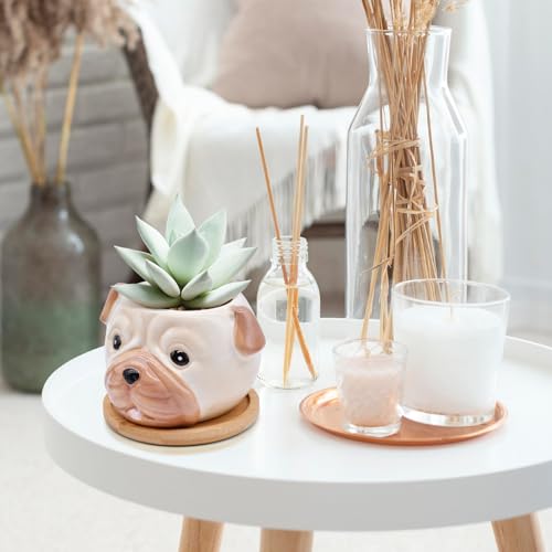 6 Pack Cute Dog Succulent Pots with Drainage – Ceramic Puppy Planters for Small Plants & Cactus, Animal Shaped Mini Flower Pots, Desk & Home Décor, Gift for Dog Lovers, Office, Balcony, Garden - style: Dog