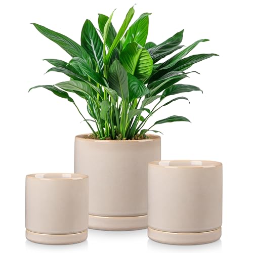 vancasso Ceramic Plant Pots, 3 Piece Planters for Indoor Plants, 4.25+5.25+6.25 Inch Flower Pots with Drainage, Plant Pots Indoor for Succulent, Pothos, Snake Plant and Money Tree, Etc (Gray) - color: Gray