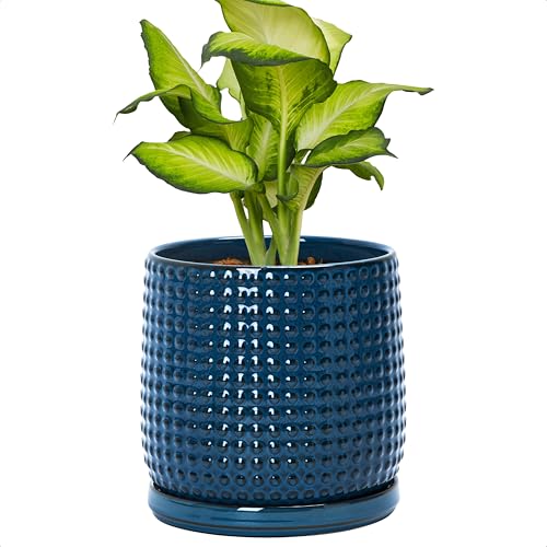 D'vine Dev Beaded Ceramic Pot with Saucer, 6 in, Midnight Blue, 27-C-X-3 | Embossed Dot Texture, Smooth Glazed Finish, Timeless Vintage Charm, Drainage Holes, Stylish Accent for Modern Home Décor - color: Midnight Blue, size: 5.8 Inch
