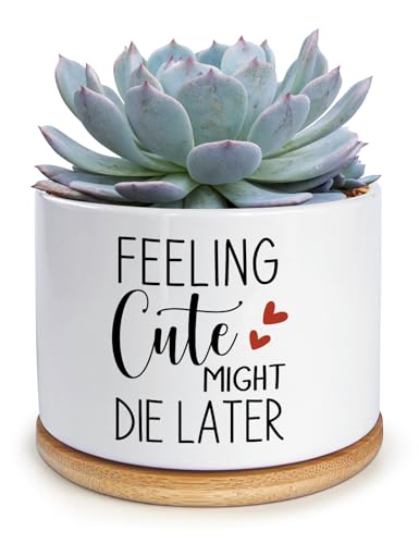 Funny Feeling Cute Might Die Later Ceramic Planter Pot for Succulent & Cactus, Unique Teacher Appreciation Gift, Birthday Gift for Plant Lovers, Decorative Plant Pot (Plant Not Included)