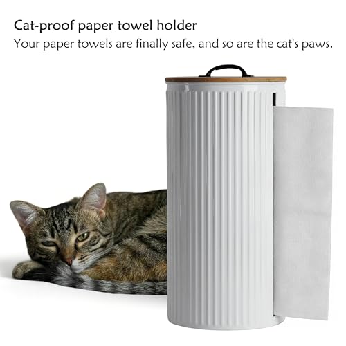 Metal Paper Towel Holder, Weighted Base with Suction Cups | Embossed with Wooden Lid, Easy Tear Roll Dispenser for Kitchen Counter, Bars, Dining Tables - color: Vertical Stripe White